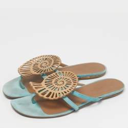 Pre Owned Hermes Blue/Brown Suede Nautilus Thong Slides Size 39
