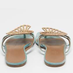 Pre Owned Hermes Blue/Brown Suede Nautilus Thong Slides Size 39