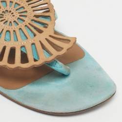 Pre Owned Hermes Blue/Brown Suede Nautilus Thong Slides Size 39
