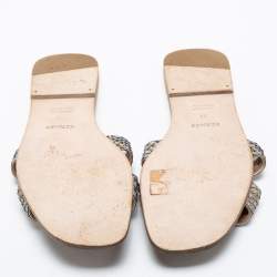 Pre Owned Hermes Metallic Python Leather Oran Flat Slides Size 39