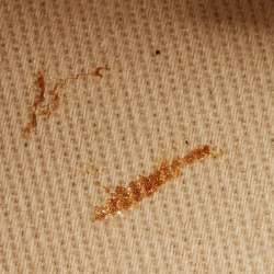 مملوكة مسبقًا Jacquemus Le Bambino Mini Light Blue Nubuck Leather Top Handle Bag