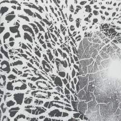 Pre Owned Just Cavalli White Printed Cotton Distressed V-Neck T-Shirt L