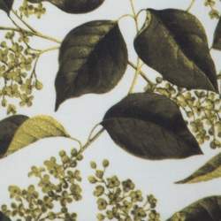 Pre Owned Just Cavalli Green Leaf Printed Cotton Jersey Flared Dress S