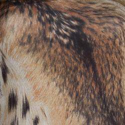 Pre Owned Just Cavalli Animal Print Jersey T-Shirt XS