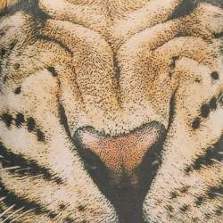 Pre Owned Just Cavalli Beige Printed Jersey Sleeveless Top S