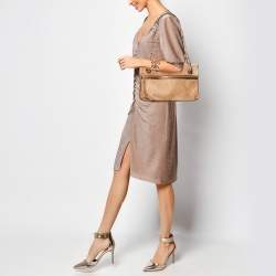 Pre Owned Lanvin Brown Calf Hair and Leather Amalia Shoulder Bag