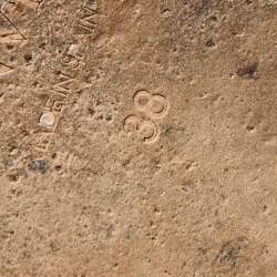 Pre Owned Lanvin Pink/Brown Satin and Leather Flower T Strap Espadrille Flats Size 38