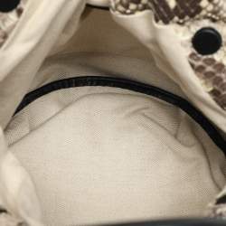 Loewe Brown/Beige Python Bounce Bucket Bag