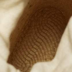 Pre Owned Loewe Anagram Square Pocket Cream/Brown Raffia Bucket Bag