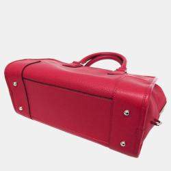 Loewe Pink Red Leather Amazona 28 Satchel