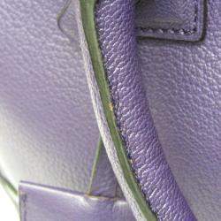 Pre Owned Loewe  Purple Leather Amazona 36 Handbag