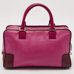 مملوكة مسبقًا Loewe Tricolor Leather Amazona 36 Satchel