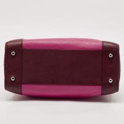 مملوكة مسبقًا Loewe Tricolor Leather Amazona 36 Satchel