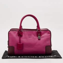 مملوكة مسبقًا Loewe Tricolor Leather Amazona 36 Satchel