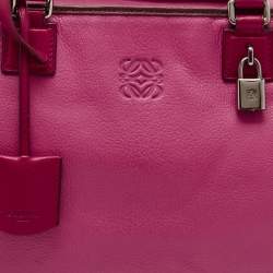 مملوكة مسبقًا Loewe Tricolor Leather Amazona 36 Satchel