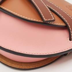 Pre Owned Loewe Tricolor Leather Mini Gate Crossbody Bag