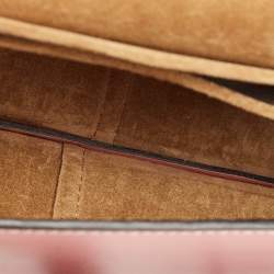 Pre Owned Loewe Tricolor Leather Mini Gate Crossbody Bag