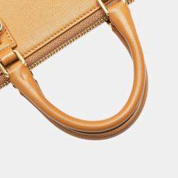 Loewe Caramel Leather Amazona Pouch Bag