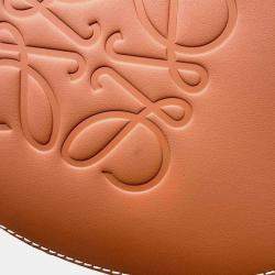 Loewe Blue Brown Canvas Leather Paula Balloon Bag