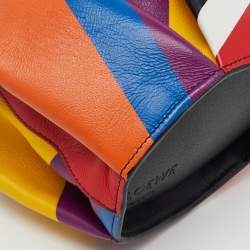 Loewe Multicolor Leather Mini Striped Elephant Crossbody Bag