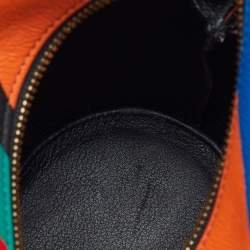 Loewe Multicolor Leather Mini Striped Elephant Crossbody Bag