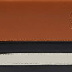Loewe Multicolor Stripe Leather Heel Covertible Beltbag