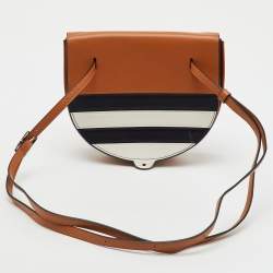 Loewe Multicolor Stripe Leather Heel Covertible Beltbag