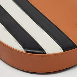 Loewe Multicolor Stripe Leather Heel Covertible Beltbag