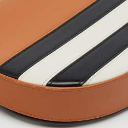 Loewe Multicolor Stripe Leather Heel Covertible Beltbag