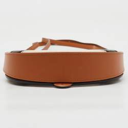 Loewe Multicolor Stripe Leather Heel Covertible Beltbag