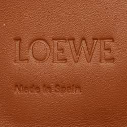 Loewe Multicolor Stripe Leather Heel Covertible Beltbag