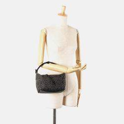 Loewe Brown Small Anagram Canvas Cubi Bag