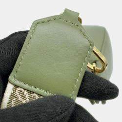 Loewe Green Leather Luna One Small Shoulder Bag 