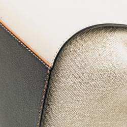 Loewe White Mini Leather and Canvas Hammock Bag