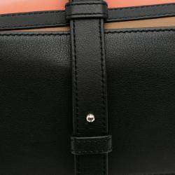 Pre Owned Loewe Brown Small Calfskin Graphic Puzzle Satchel