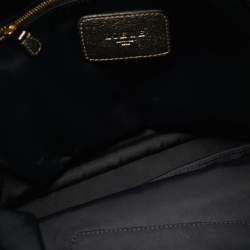 Pre Owned Loewe Metallic Leather Anagram Maia Flap Top Handle Bag