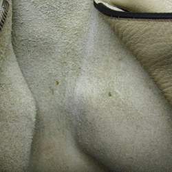 Pre Owned Loewe Anton Sling Bag Leather Shoulder Bag Grayish