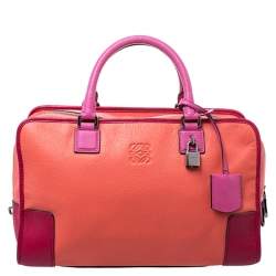 مملوكة مسبقًا Loewe Tricolor Leather Amazona Satchel