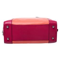 مملوكة مسبقًا Loewe Tricolor Leather Amazona Satchel