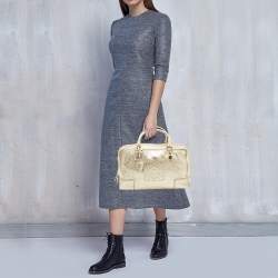 مملوكة مسبقًا Loewe Metallic Gold Leather Medium Amazona Satchel