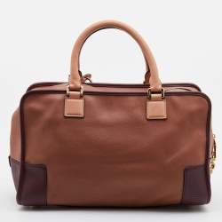 Loewe Multicolor Leather Amazona Satchel