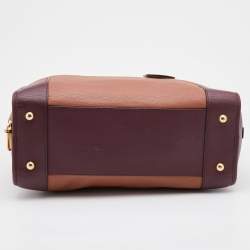 Loewe Multicolor Leather Amazona Satchel