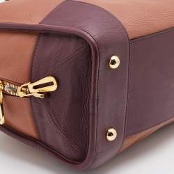 Loewe Multicolor Leather Amazona Satchel