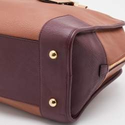 Loewe Multicolor Leather Amazona Satchel