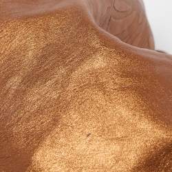 Loewe Bronze Leather Aire Hobo