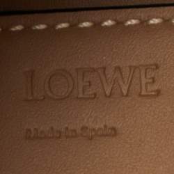 Loewe Multicolor Woven Leather Small Surplus Basket Bag