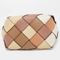 Loewe Multicolor Woven Leather Small Surplus Basket Bag