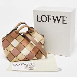 Loewe Multicolor Woven Leather Small Surplus Basket Bag