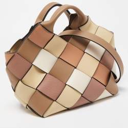 Loewe Multicolor Woven Leather Small Surplus Basket Bag