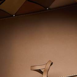 Loewe Multicolor Woven Leather Small Surplus Basket Bag